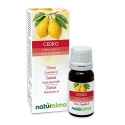 Cedro Olio essenziale 10 ml - Naturalma
