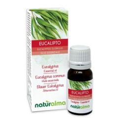 Eucalipto Olio essenziale 10 ml - Naturalma