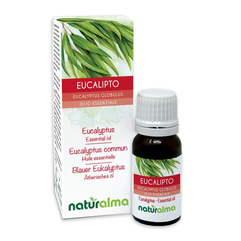 Eucalipto Olio essenziale 10 ml - Naturalma