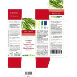 Eucalipto Olio essenziale 10 ml