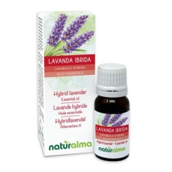 Lavanda ibrida Olio essenziale 10 ml - Naturalma
