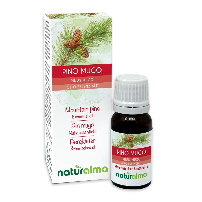 Pino mugo Olio essenziale 10 ml