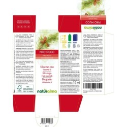 Pino mugo Olio essenziale 10 ml