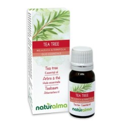 Tea tree Olio essenziale 10 ml - Naturalma