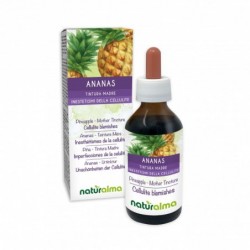 Ananas Tintura madre 100 ml liquido analcoolico - Naturalma