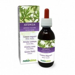 Artemisia Tintura madre 120 ml liquido analcoolico - Naturalma