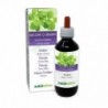 Bacopa o Brahmi Tintura madre 200 ml liquido analcoolico - Naturalma