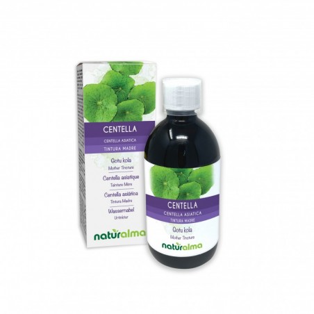 Centella Tintura madre 500 ml liquido analcoolico - Naturalma